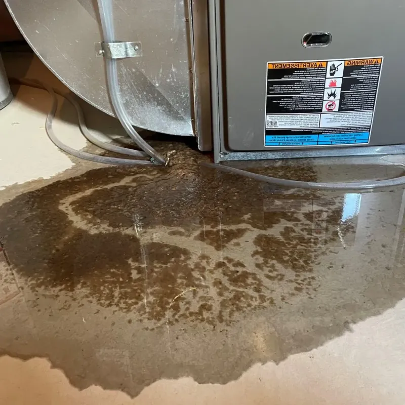 Pipe Burst and Leak Restoration in Enid, OK